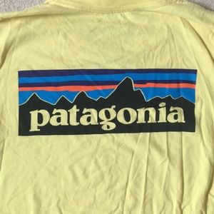 patagonia t-shirt